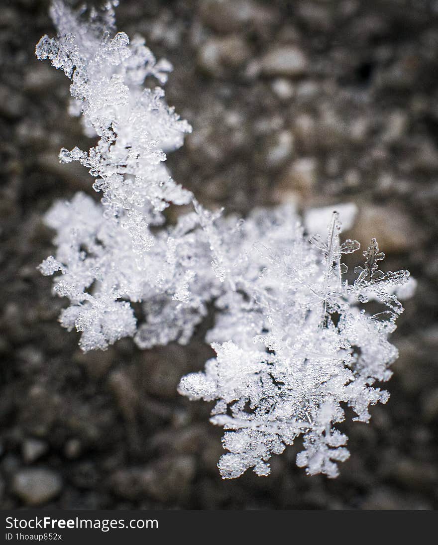 Macro photo of some snow crystals. Colibita, Bistrita-Nasaud, Romania.