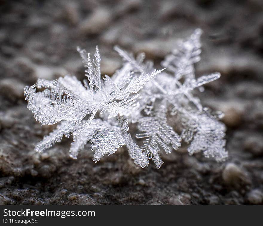 Macro photo of some snow crystals. Colibita, Bistrita-Nasaud, Romania.