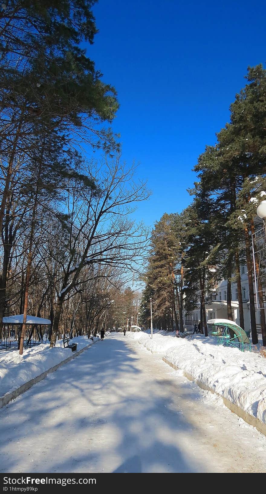 Frosty day at the sanatorium.