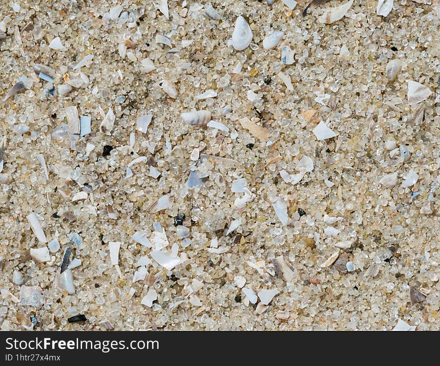 Macro shot of sand mixed with small fragments of shells on the beach. Background