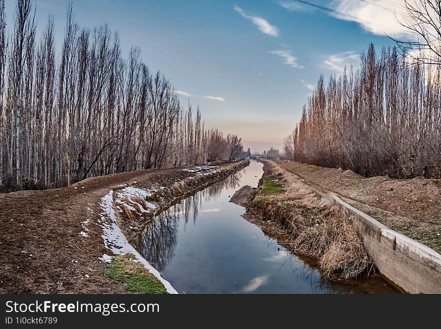 Spring landscape with an irrigation canal and poplar trees on both sides.