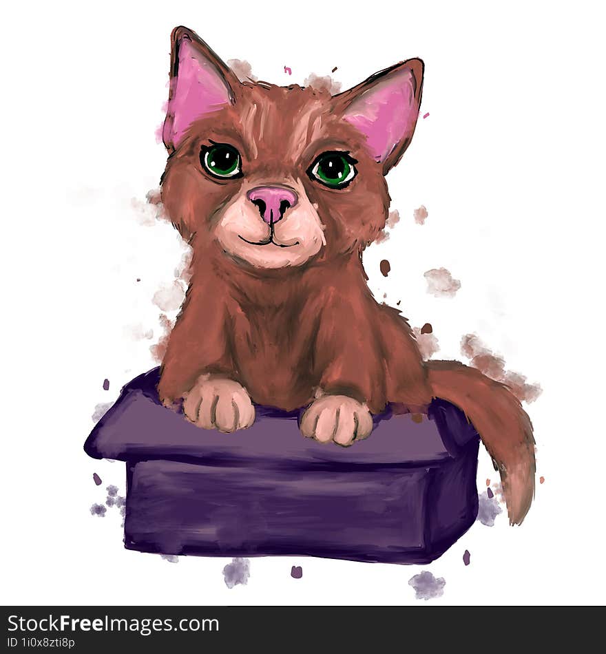 Cat in box - watercolor illustration