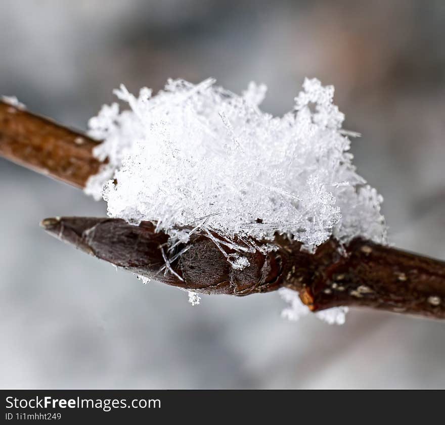 Macro photo of some snow crystals sitting on a branch. Colibita, Bistrita-Nasaud, Romania. I used AI to remove noise.