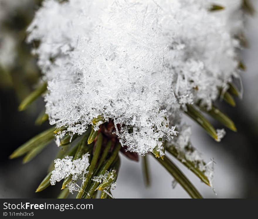 Macro shot of some snow crystals sitting on a fir tree branch. Colibita, Bistrita-Nasaud, Romania. I used AI to remove noise.