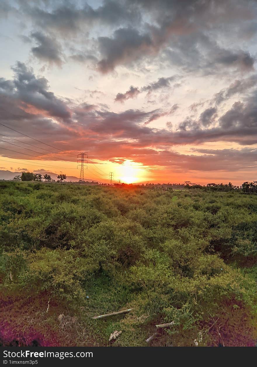 Small grass stalks close up with sunset in the far west. Beautiful natural background