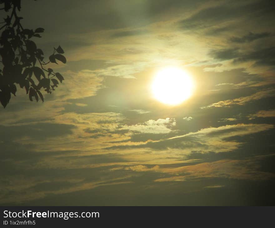 A Beautiful Sunlight On Late Afternoon