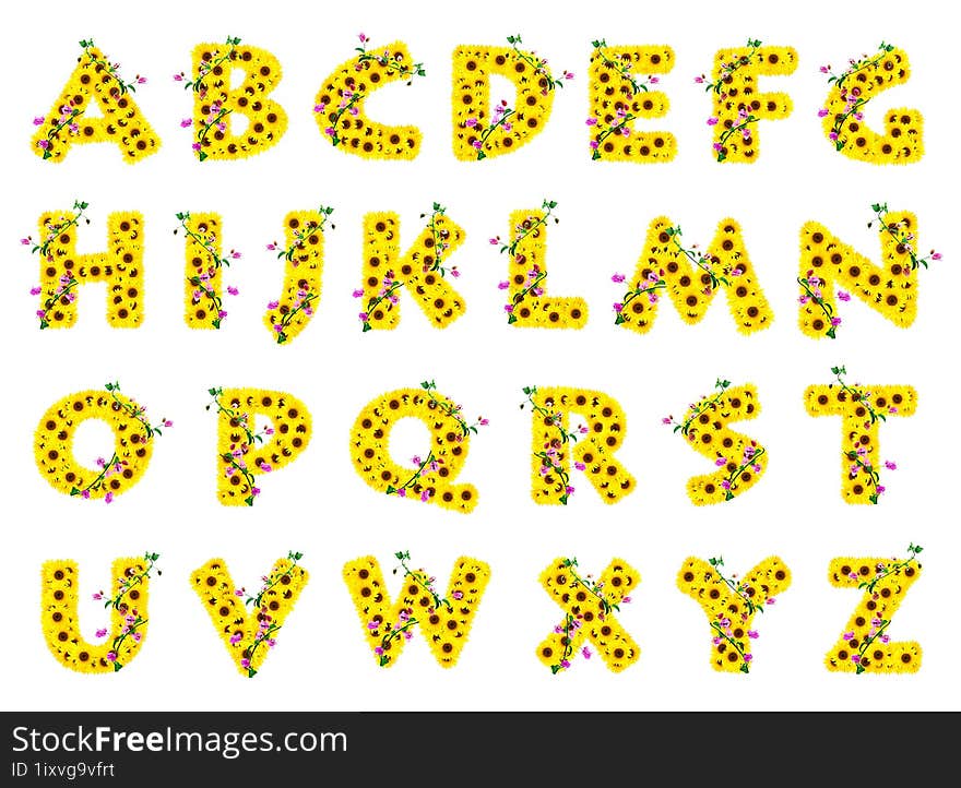 The Sunflower Alphabet A-Z Isolated On White Background