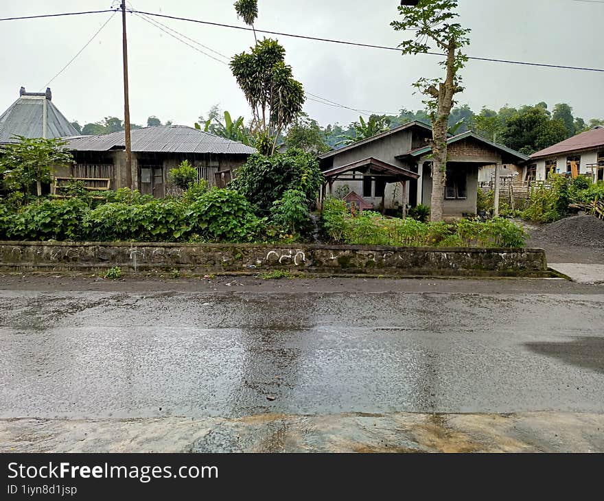 Rainy Day In The Countryside