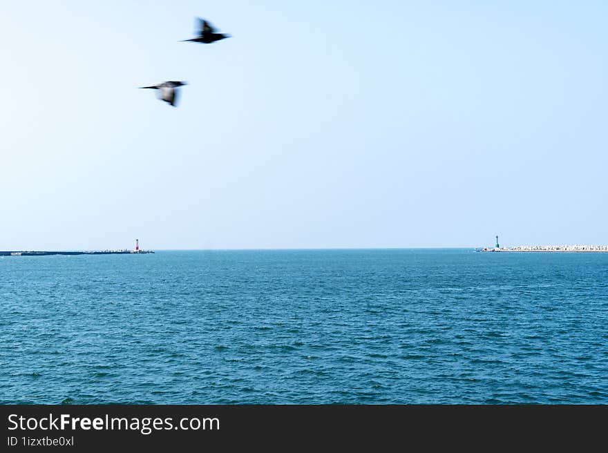 Landscape Of Breakwaters In Sizihwan And Cijin District Of Kaohsiung With Two Birds Flying In The Foreground, Extreme Long Shot