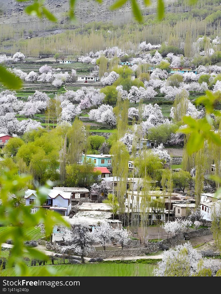 Beautiful Daylight View of Swat Pakistan