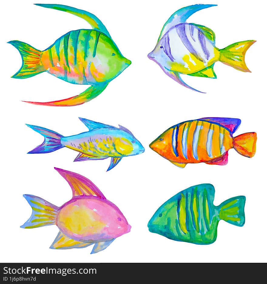 set of isolated fishes drawn by hands in watercolor. Hand drawn by the artist