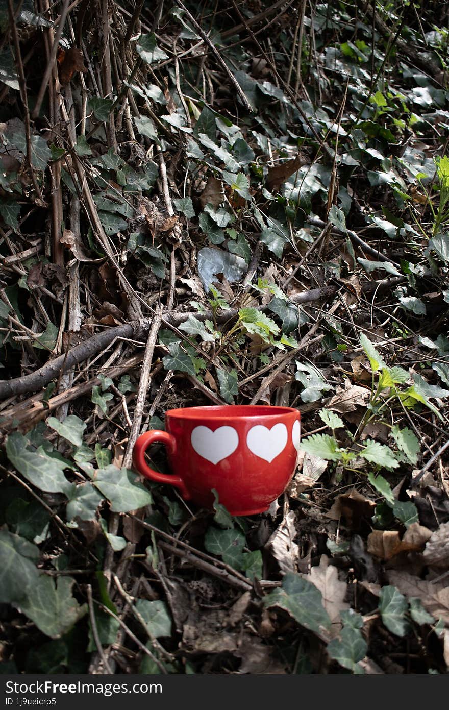 Red cup in the grass