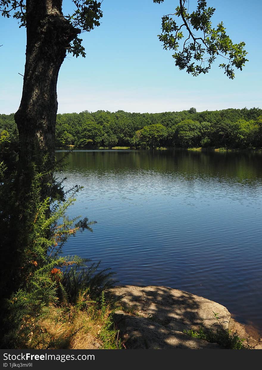 Lake against the blue sky.