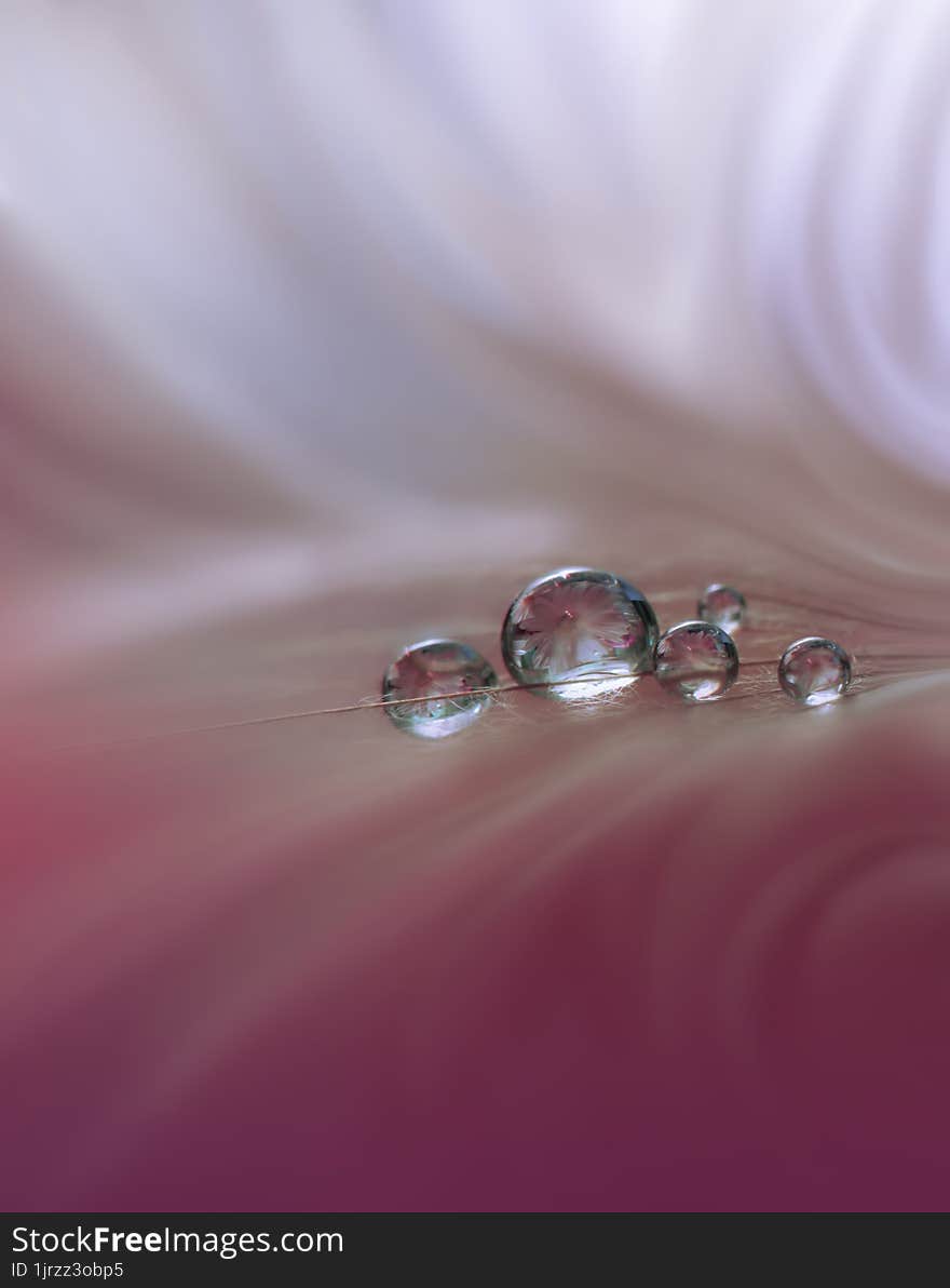 Beautiful Nature Background.Abstract Wallpaper.Celebration, love.Holidays.Summer Flowers.Art Design.Spring Flower.Violet Colors.