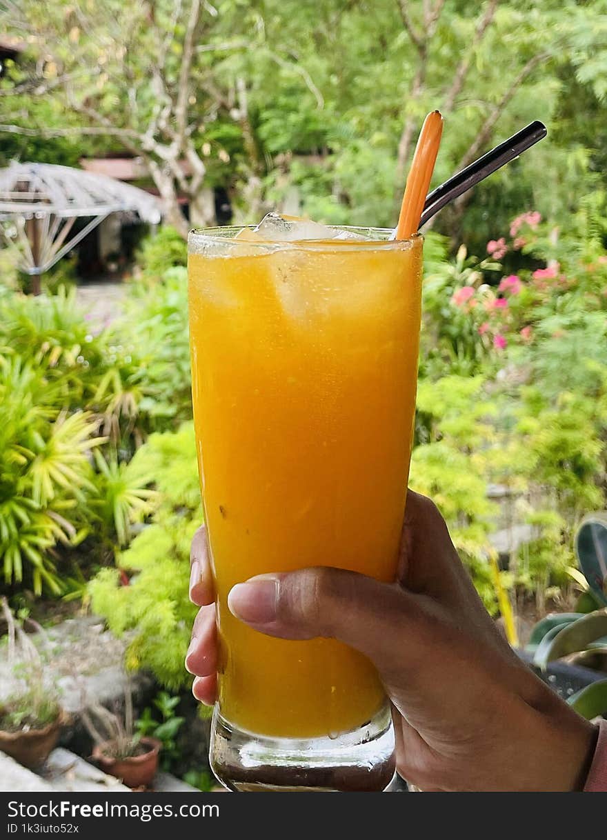 Orange Juice With Garden Background