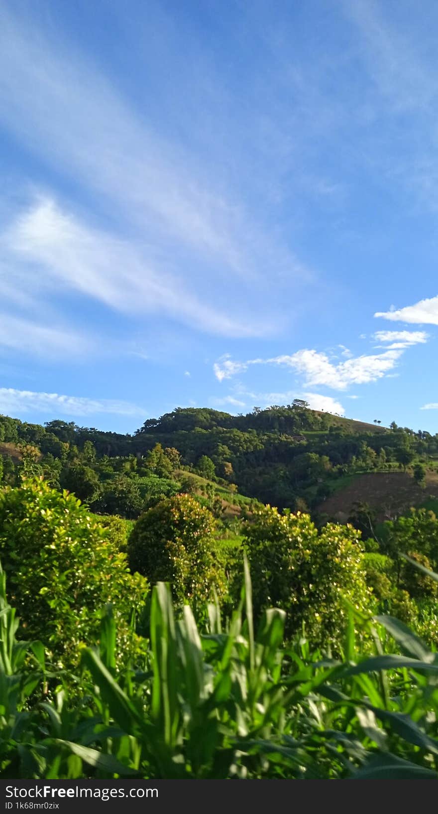 beautiful mountain and sky scenery