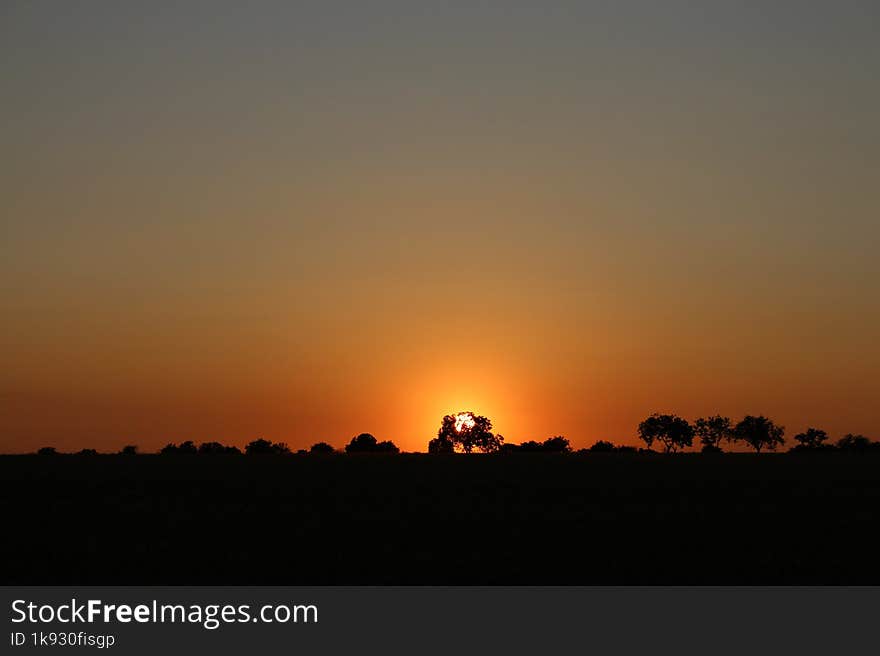 Multicolored sunset with silhouettes of trees