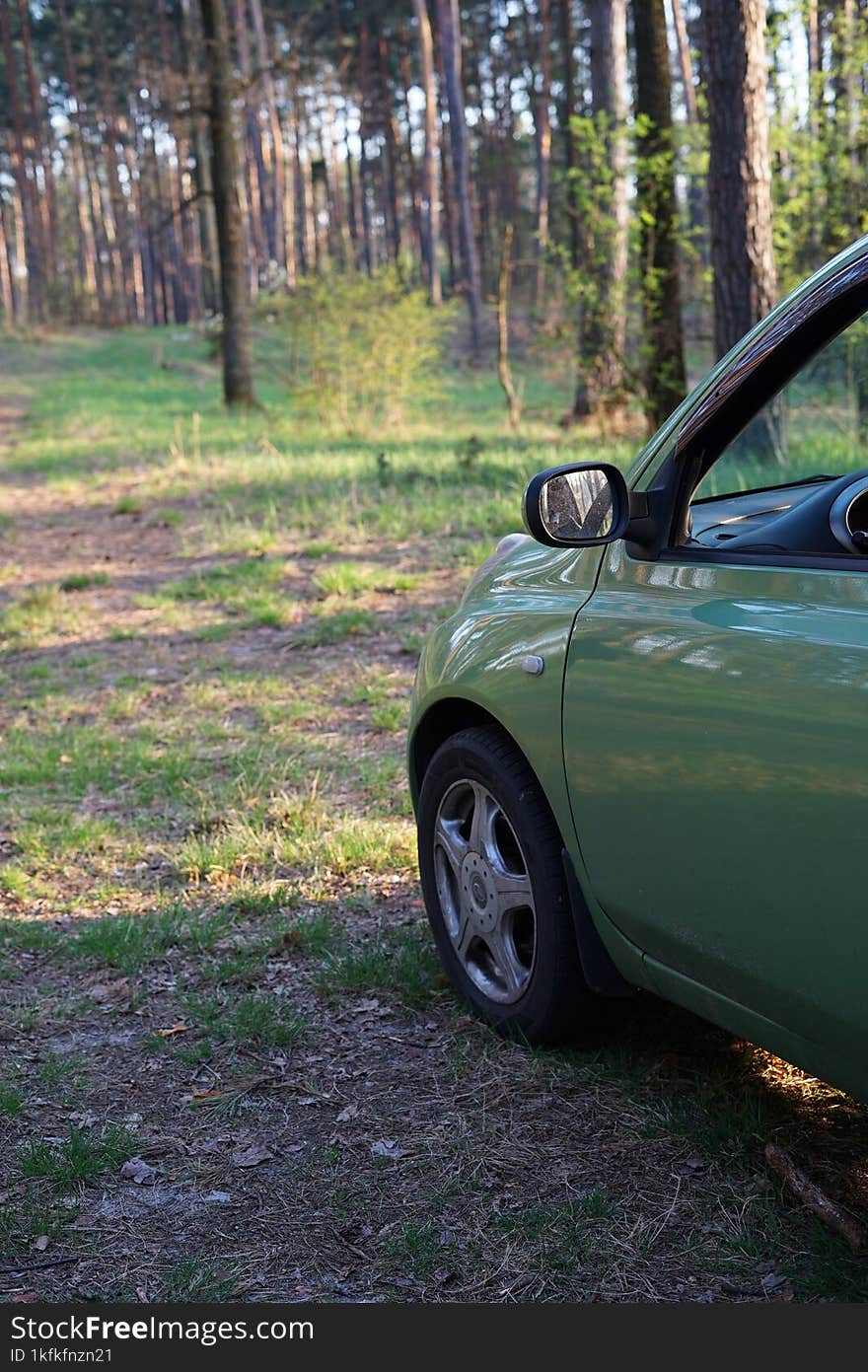 Green car in the middle of the forest. Relaxation atmosphere