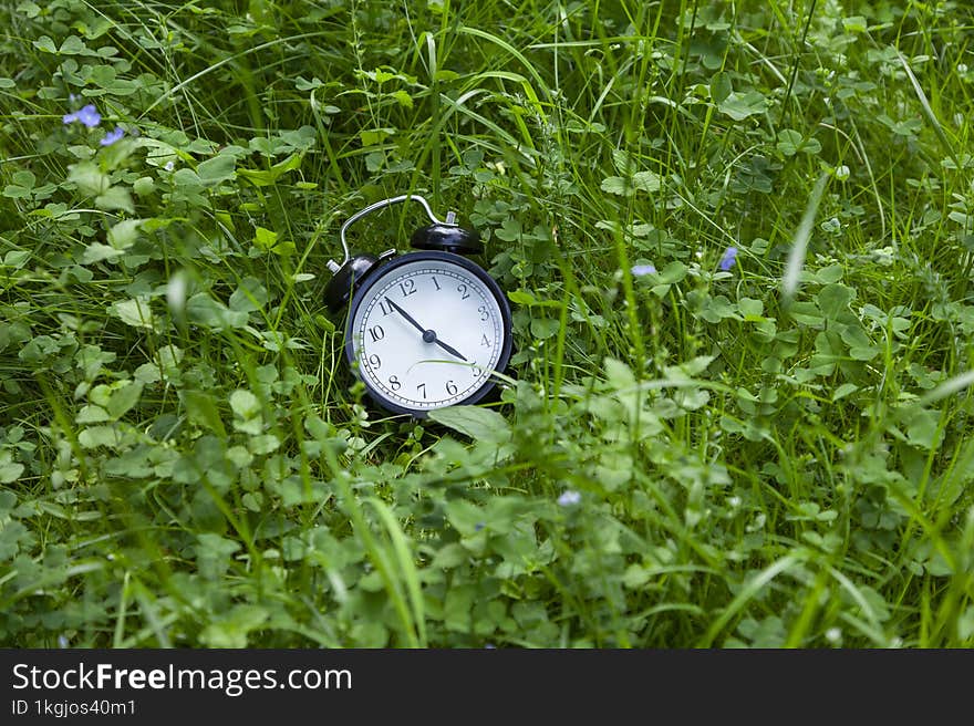 Alarm Clock In Green Grass. Summer Time.