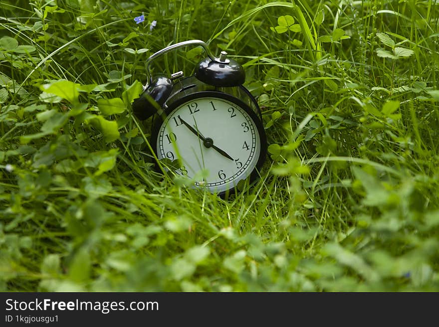 Alarm Clock In Green Grass. Summer Time.