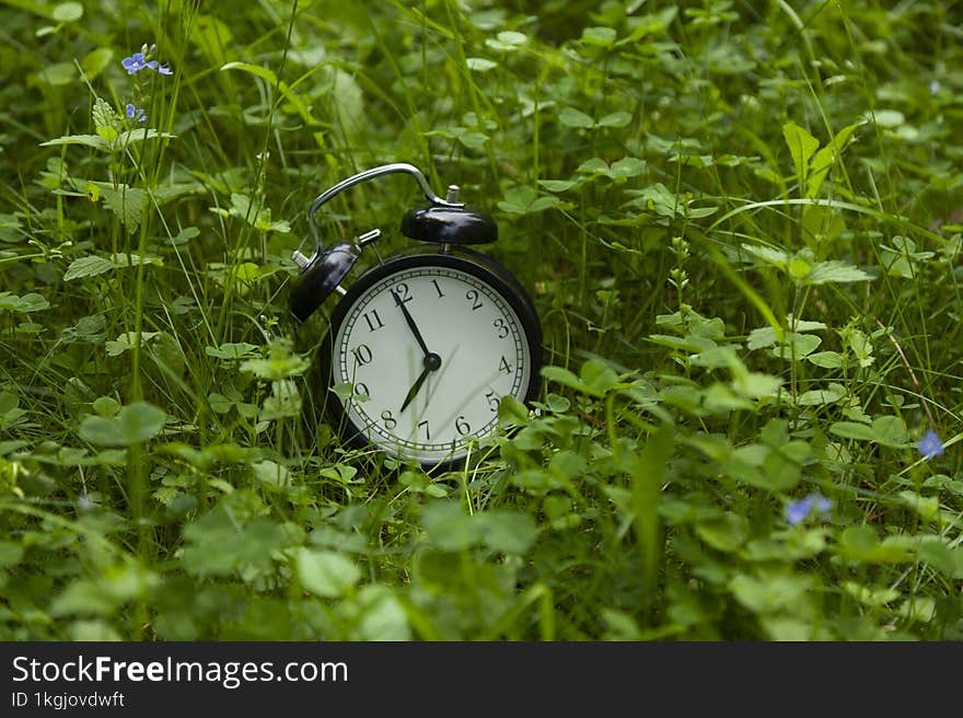 Alarm Clock In Green Grass. Summer Time.