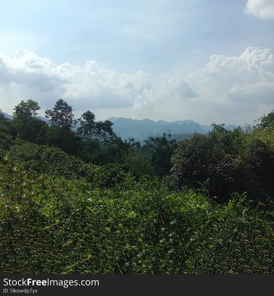 View on the hill in Bandung, West Java