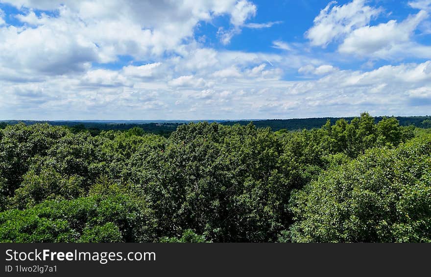 Above the trees in rural Connecticut. Sunny beautiful day over the forest, drone photo