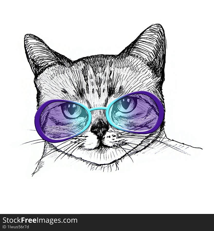 Cat in glasses portrait. Hand drawn illustration