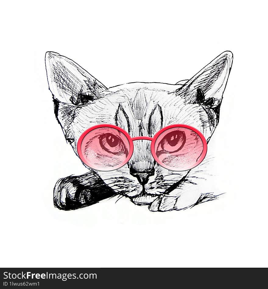 Cat in glasses portrait. Hand drawn illustration