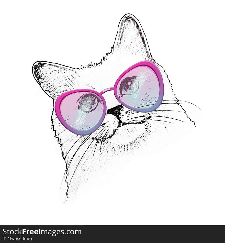 Cat in glasses portrait. Hand drawn illustration