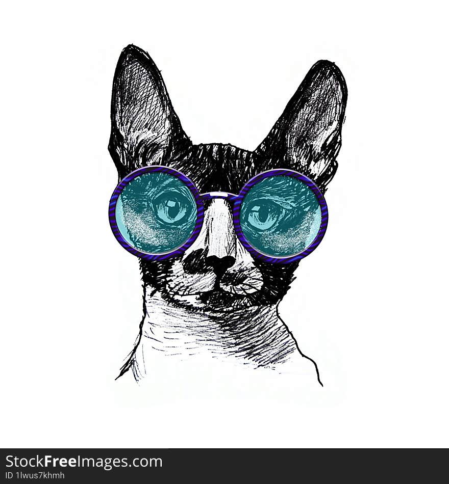 Cat in glasses portrait. Hand drawn illustration