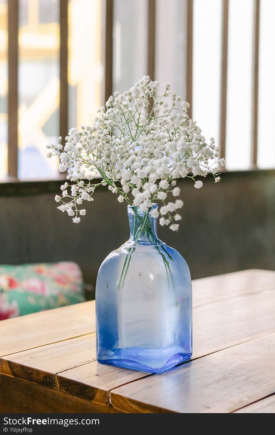 Gypsophila paniculata or baby& x27 s-breath white flower an a blue glass vase