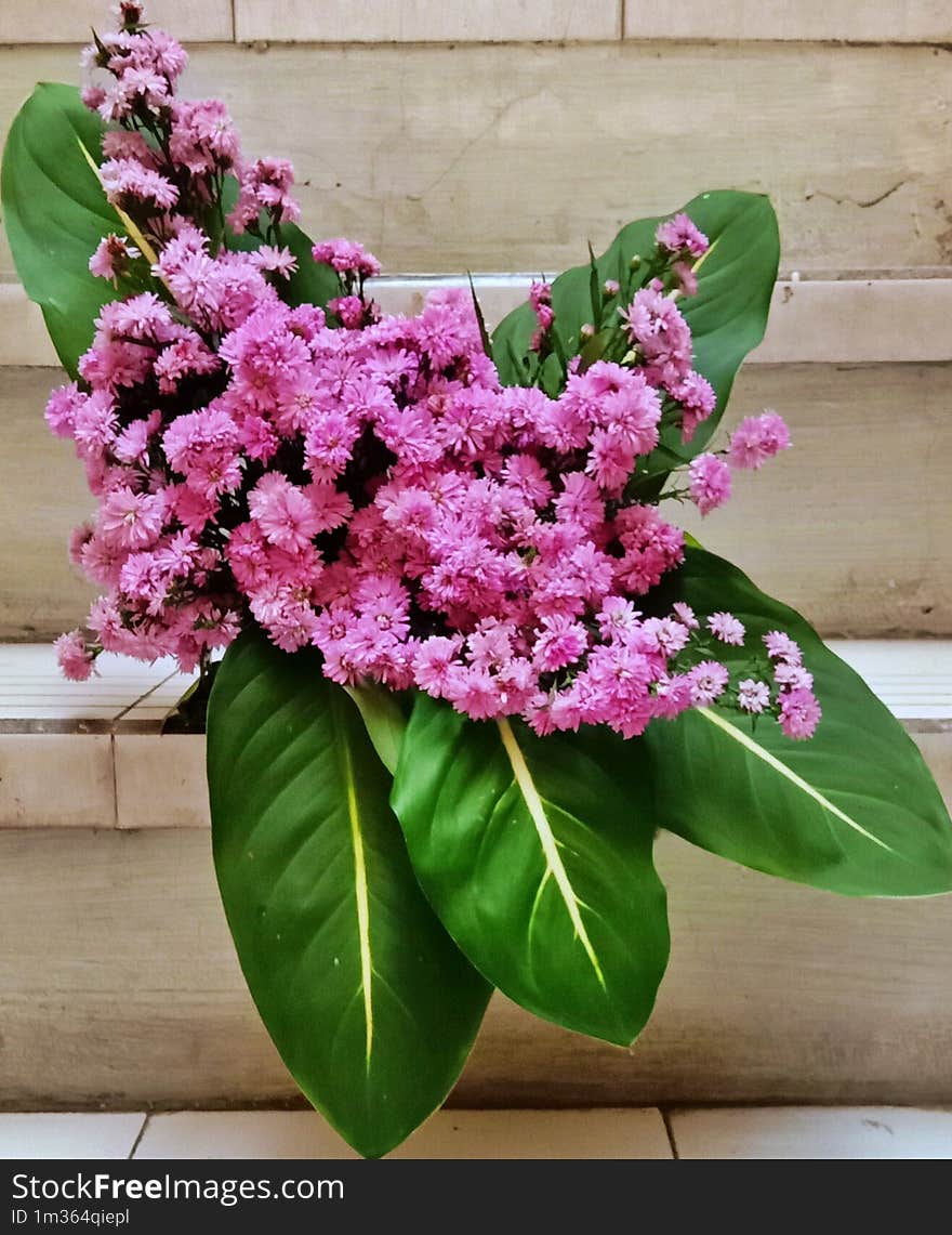 Flowers Decoration. Purple Flowers and Green Leaves.