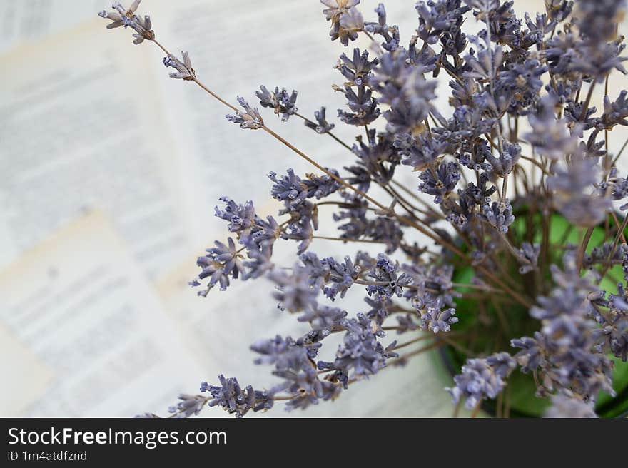 Lavender flowers, lavender on a newspaper background, lavender bouquet on a paper background.