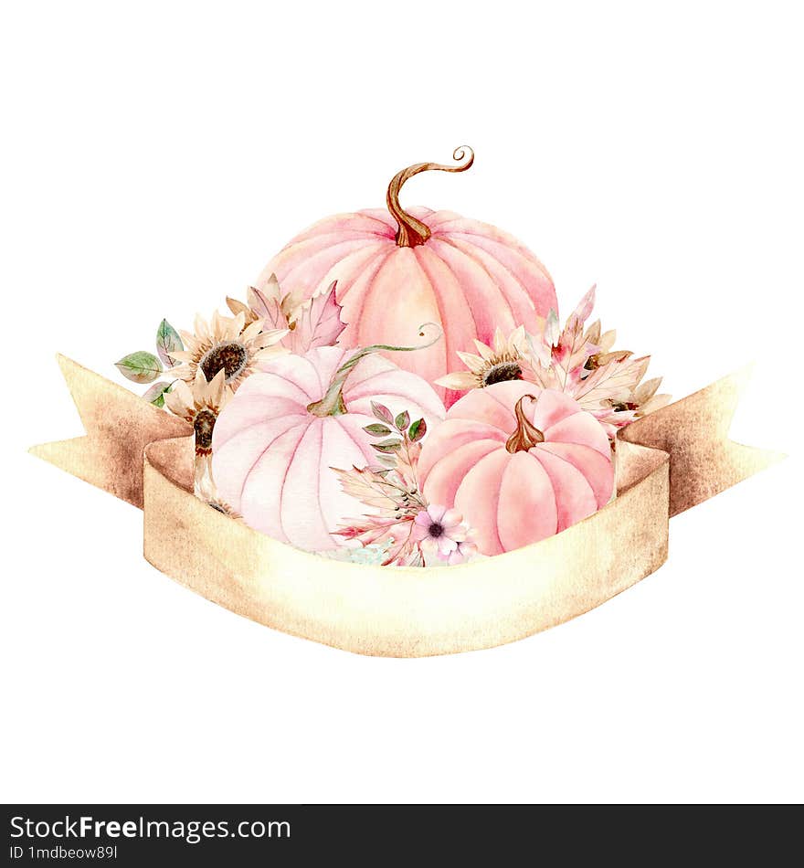 Orange pumpkins, sunflower flowers and fall leaves of maple and oak on white background. Banner Scroll for inscription. Watercolor illustration in pastel colors. The drawing is hand drawn. Suitable for cards, invitations and textiles