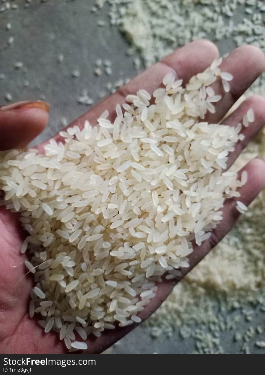 Fresh Rice Gains With Soltesh