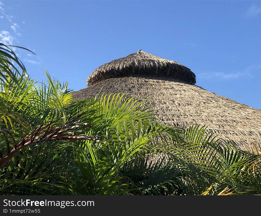 Outside View From A Palapa