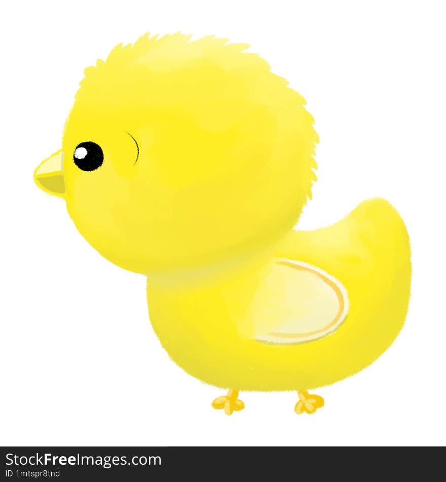 Cartoon yellow little duck isolated in simple drawing