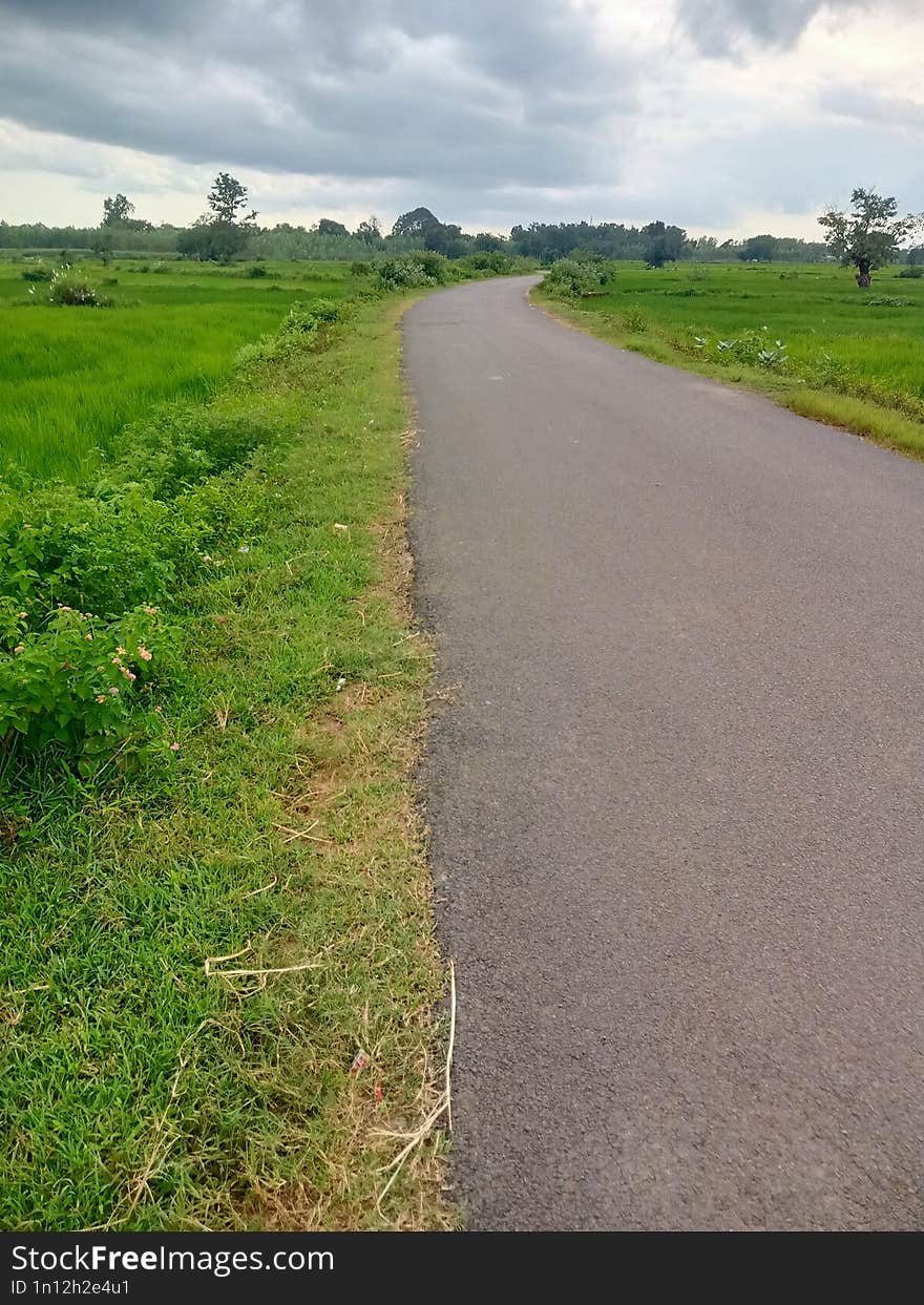 Parua village road from agriculture filled both the road andlook