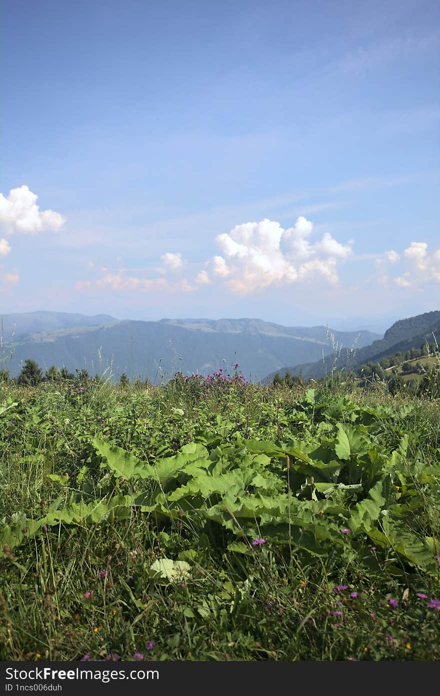 Field on a mountain slope with ridges on the horizon on a sunny day