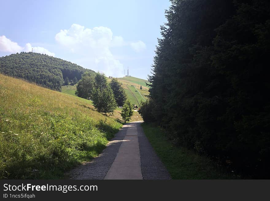 Concrete path on a slope in the mountains on a sunny day bordered by a grove