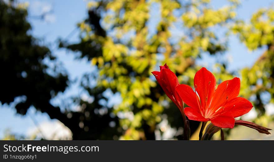 Despite Autumn, The Summer Period Is Still Alive In What Surrounds Us.