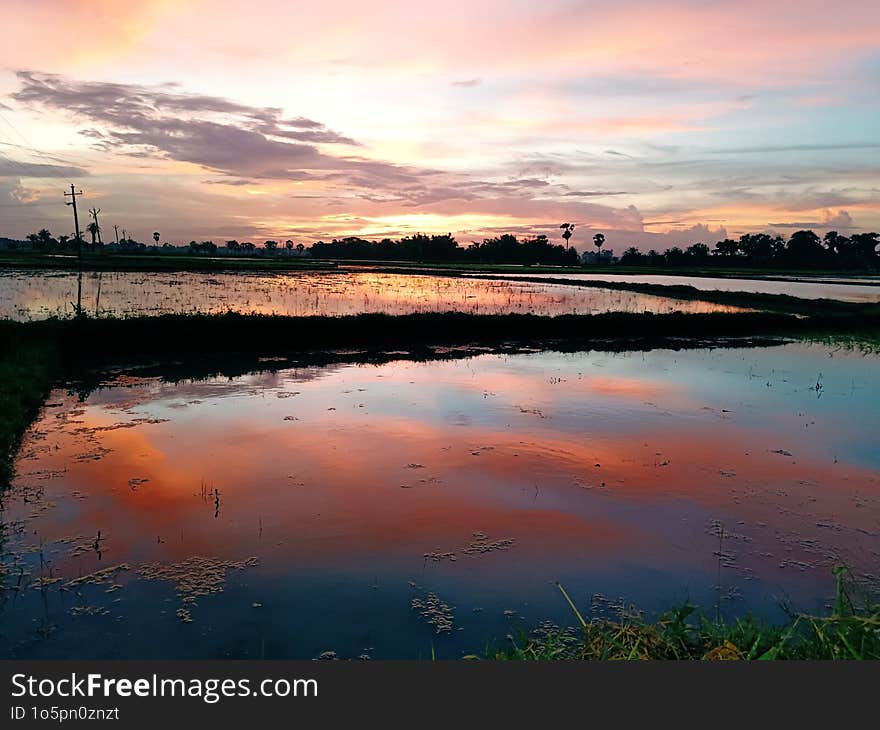 Nature Of My Village Evening Time