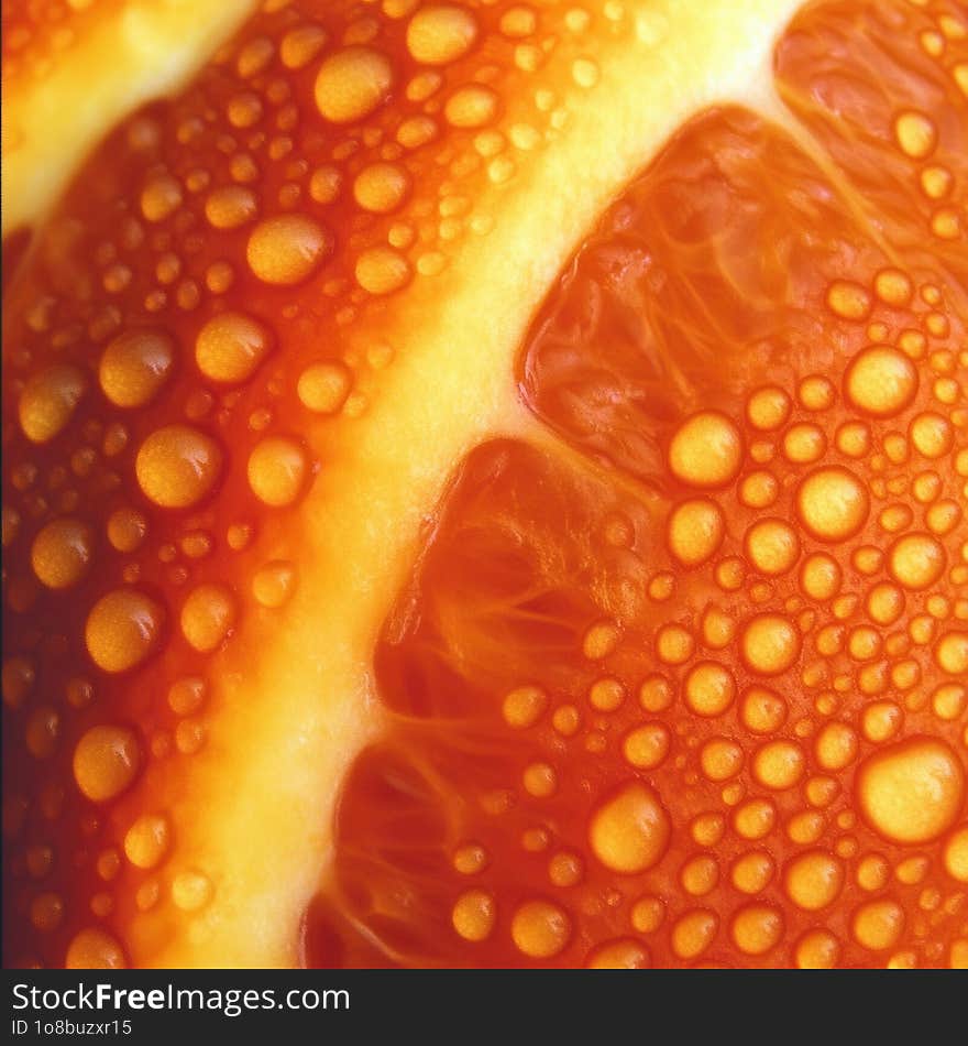 This captivating close-up captures a tomato slice, showcasing the glistening water droplets that resemble molten lava beads. The rich orange-red hues and the translucent, juicy sections of the tomato are highlighted, emphasizing the fruit's vibrant texture and freshness. This captivating close-up captures a tomato slice, showcasing the glistening water droplets that resemble molten lava beads. The rich orange-red hues and the translucent, juicy sections of the tomato are highlighted, emphasizing the fruit's vibrant texture and freshness