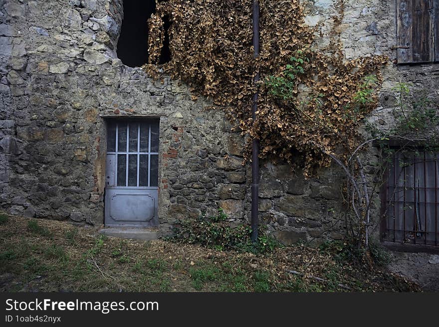 Abandoned house and withered creeper plant