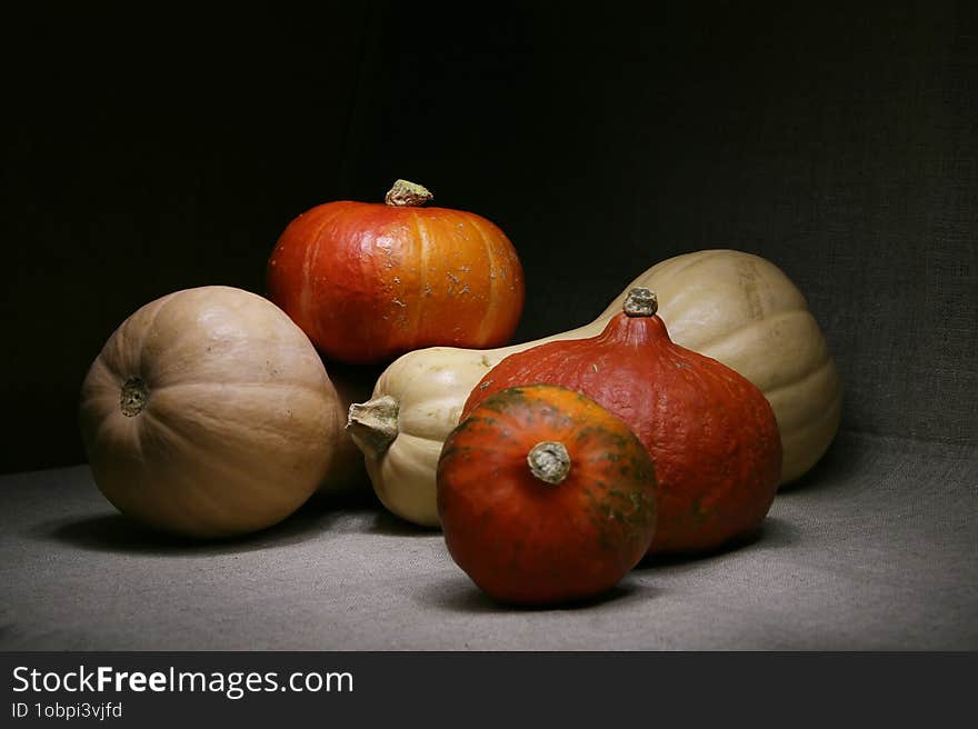 Still life with five pumpkins, red and white, lying chaotically