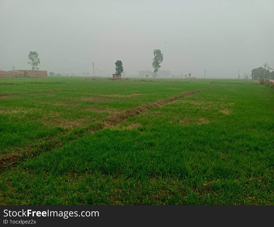 Morning view of agriculture land