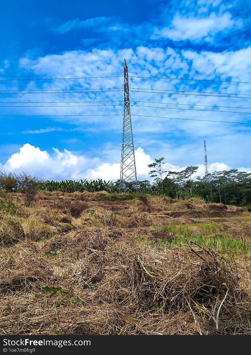 Land clearing for agriculture.