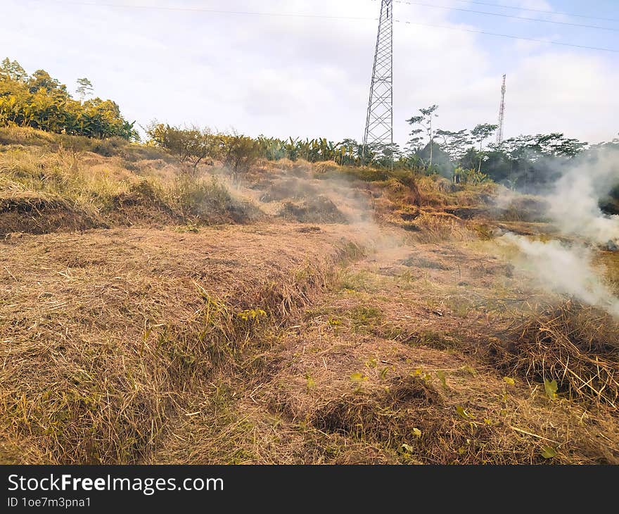 Land Clearing For Agriculture.