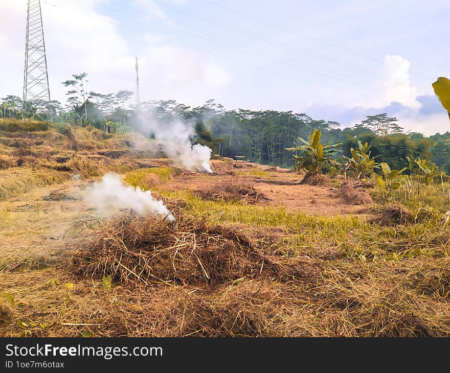 Land Clearing For Agriculture.